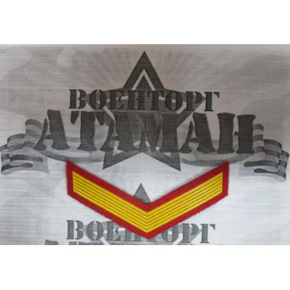 галка 1 год пластизоль на красном, Курсовка