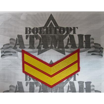 галка 2 года пластизоль на красном, Курсовка