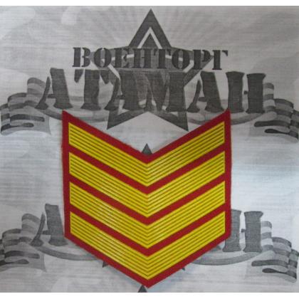 галка 4 года пластизоль на красном, Курсовка