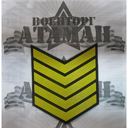 галка 5 лет пластизоль на черном, Курсовка 